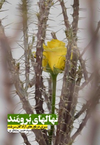 نهال های برومند